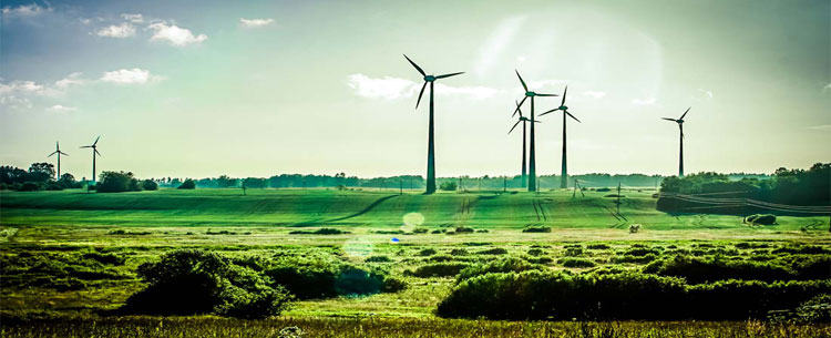 1528248615912153.jpg 02.jpg